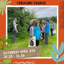 Spring Foraging Course - April 8th 2023
